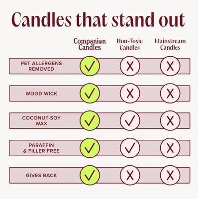 Show full view: Companion Candles Celebrate the Season Cookie Butter, Brown Sugar & Vanilla Scented Pet-Friendly Candle, 11.8-oz jar slide 4 of 7
