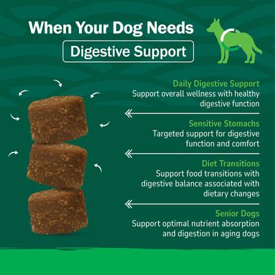Show full view: petnc Probiotics & Prebiotics Soft Chews Digestive Health Supplement for Dogs, 120 count slide 5 of 9