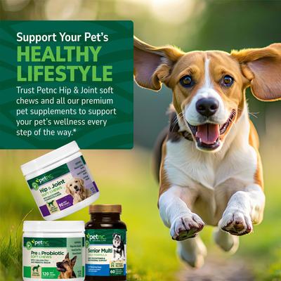 Show full view: petnc Probiotics & Prebiotics Soft Chews Digestive Health Supplement for Dogs, 120 count slide 8 of 9