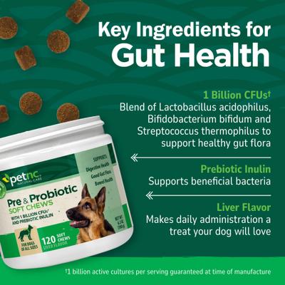 Show full view: petnc Pre & Probiotic Soft Chews Digestive Supplement for Dogs, 120 count slide 5 of 11