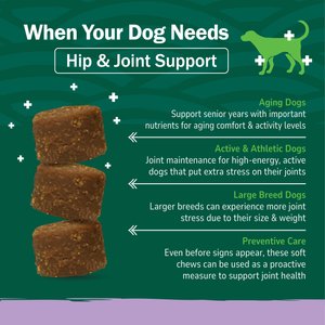 petnc Hip & Joint Soft Chews Joint Supplement for Dogs, 90 count