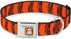 Buckle-Down Disney Tigger Stripes Dog Collar, Medium: 11 to 16.5-in neck, 1-in wide