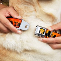 Buckle-Down Disney Lion King Hakuna Matata Sunset Dog Collar, Large: 15 to 24-in neck, 1-in wide slide 2 of 8