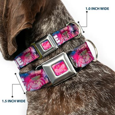 Show full view: Buckle-Down Disney Transparent Cheshire Cat Poses Were All Mad Here Dog Collar, Medium: 16 to 23-in neck, 1.5-in wide slide 2 of 8
