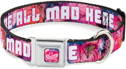 Buckle-Down Disney Transparent Cheshire Cat Poses Were All Mad Here Dog Collar, Medium: 16 to 23-in neck, 1.5-in wide