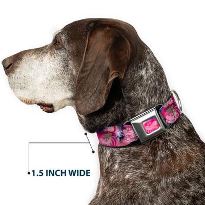 Show full view: Buckle-Down Disney Transparent Cheshire Cat Poses Were All Mad Here Dog Collar, Medium: 16 to 23-in neck, 1.5-in wide slide 7 of 8