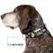 Show in main carousel: Buckle-Down Disney Alice Cheshire Cat Flowers Dog Collar, Large: 15 to 24-in neck, 1-in wide slide 8 of 9