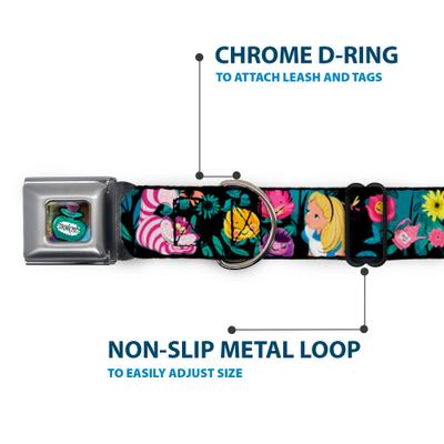 Show full view: Buckle-Down Disney Alice Cheshire Cat Flowers Dog Collar, Large: 15 to 24-in neck, 1-in wide slide 6 of 9