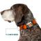 Show in main carousel: Buckle-Down Disney Tigger Stripes Dog Collar, Medium: 16 to 23-in neck, 1.5-in wide slide 7 of 8