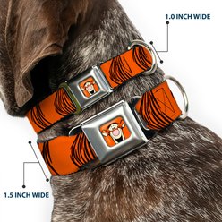 Buckle-Down Disney Tigger Stripes Dog Collar, Small: 9.5 to 13-in neck, 1-in wide slide 2 of 8