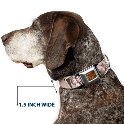 Show full view: Buckle-Down Disney Up Adventure Book Snapshots Post Cards Dog Collar, Large: 15 to 24-in neck, 1-in wide slide 7 of 8