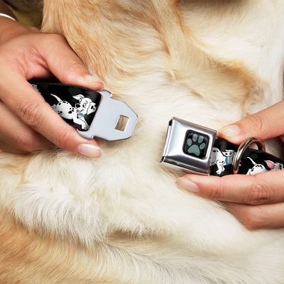 Show full view: Buckle-Down Disney Dalmatians Running Paws Dog Collar, Medium: 11 to 16.5-in neck, 1-in wide slide 9 of 9