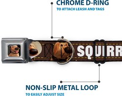 Buckle-Down Disney Dug Poses Squirrel Dog Collar, Small: 9.5 to 13-in neck, 1-in wide slide 2 of 8