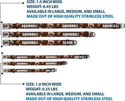 Buckle-Down Disney Dug Poses Squirrel Dog Collar, Medium: 11 to 16.5-in neck, 1-in wide slide 2 of 8