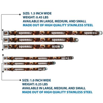 Show full view: Buckle-Down Disney Dug Poses Squirrel Dog Collar, Small: 9.5 to 13-in neck, 1-in wide slide 4 of 9