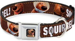 Buckle-Down Disney Dug Poses Squirrel Dog Collar, Small: 9.5 to 13-in neck, 1-in wide