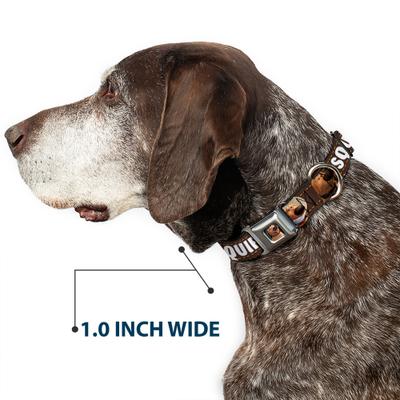 Show full view: Buckle-Down Disney Dug Poses Squirrel Dog Collar, Small: 9.5 to 13-in neck, 1-in wide slide 7 of 9
