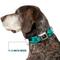 Show in main carousel: Buckle-Down Disney Pirates Skull Crossbones Sharks Dog Collar, Large: 20 to 31-in neck, 1.5-in wide slide 7 of 8