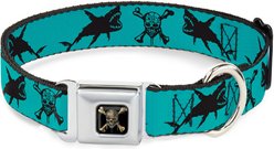 Buckle-Down Disney Pirates Skull Crossbones Sharks Dog Collar, Large: 20 to 31-in neck, 1.5-in wide