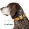 Show in main carousel: Buckle-Down Disney Toy Story Woody Bounding Plaid Shirt Dog Collar, Large: 20 to 31-in neck, 1.5-in wide slide 7 of 9