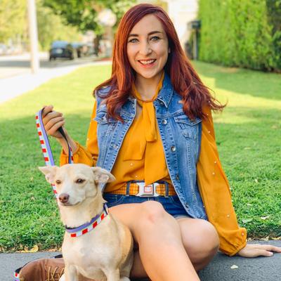 Show full view: Buckle-Down Disney Toy Story Woody Bounding Plaid Shirt Dog Collar, Large: 20 to 31-in neck, 1.5-in wide slide 9 of 9