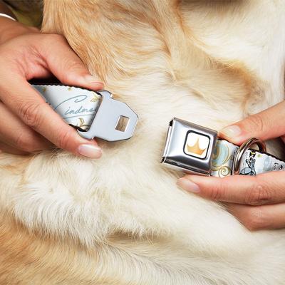 Show full view: Buckle-Down Disney Cinderella Pumpkin Coach & Mice Pose Dog Collar, Medium: 11 to 16.5-in neck, 1-in wide slide 8 of 8