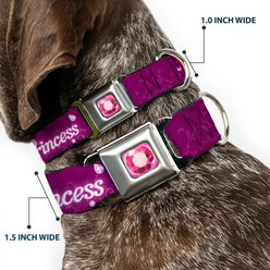 Buckle-Down Disney Im 99.9 Percent Sure Im A Disney Princess Dog Collar, Large: 15 to 24-in neck, 1-in wide slide 2 of 8