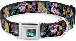 Buckle-Down Disney Alice Cheshire Cat Flowers Dog Collar, Large: 15 to 24-in neck, 1-in wide