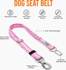 Dog Friendly Co. Adjustable Anti-Shock Bungee Dog Seat Belt, Sky Blue slide 2 of 6