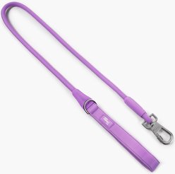 Dog Friendly Co. Dog Rope Leash, Purple, Regular