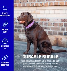 Dog Friendly Co. Comfortable & Secure with Quick Release Clip Buckle Reflective Tactical Dog Collar Black, Premium Khaki, Large/X-Large slide 2 of 7