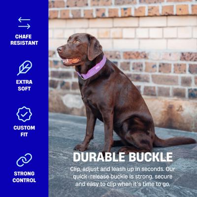 Show full view: Dog Friendly Co. Comfortable & Secure with Quick Release Clip Buckle Reflective Tactical Dog Collar Black, Black, X-Small/XX-Small slide 6 of 8