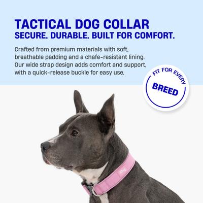 Show full view: Dog Friendly Co. Comfortable & Secure with Quick Release Clip Buckle Reflective Tactical Dog Collar Black, Black, X-Small/XX-Small slide 3 of 8