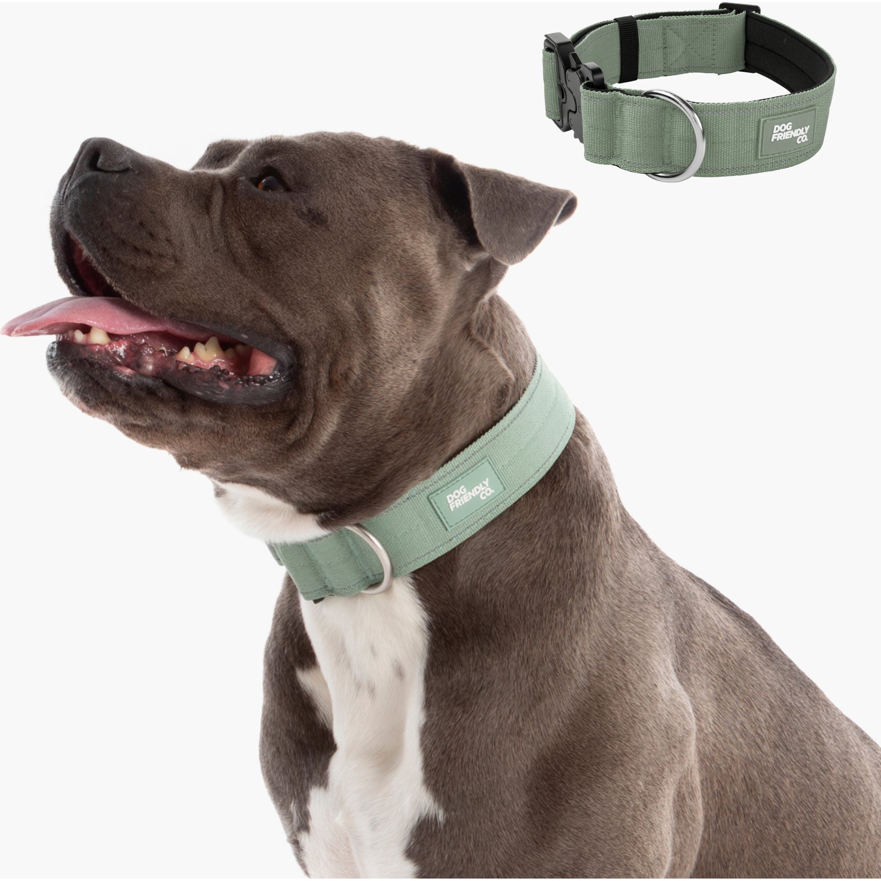 Dog Friendly Co. Comfortable & Secure with Quick Release Clip Buckle Reflective Tactical Dog Collar Black, Premium Khaki, X-Small/XX-Small