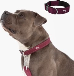 Dog Friendly Co. Comfortable & Secure with Quick Release Clip Buckle Reflective Tactical Dog Collar Black, Premium Burgundy, Large/X-Large