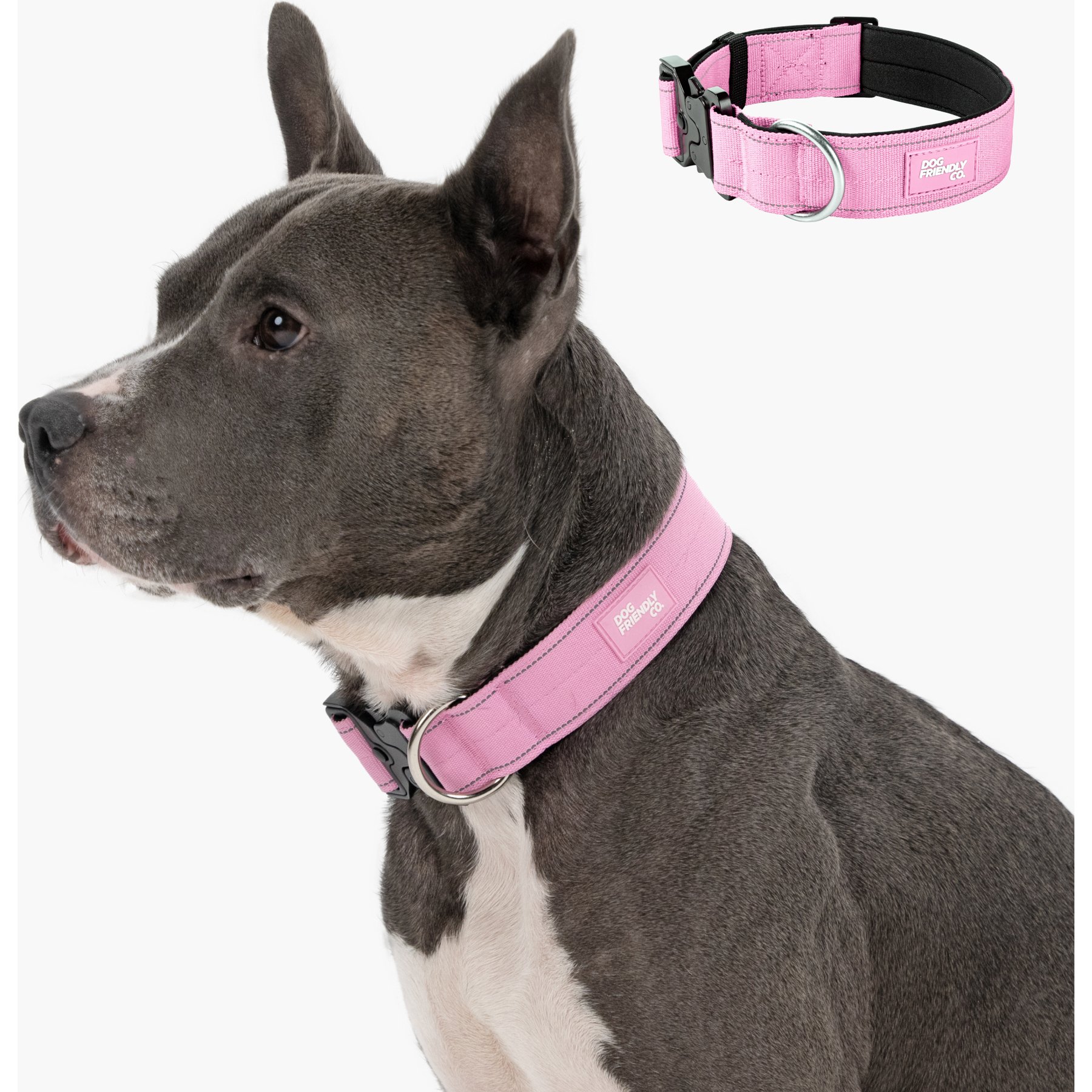 Dog Friendly Co. Comfortable & Secure with Quick Release Clip Buckle Reflective Tactical Dog Collar Black, Pink, Small