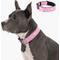 Show in main carousel: Dog Friendly Co. Comfortable & Secure with Quick Release Clip Buckle Reflective Tactical Dog Collar Black, Pink, X-Small/XX-Small slide 1 of 7