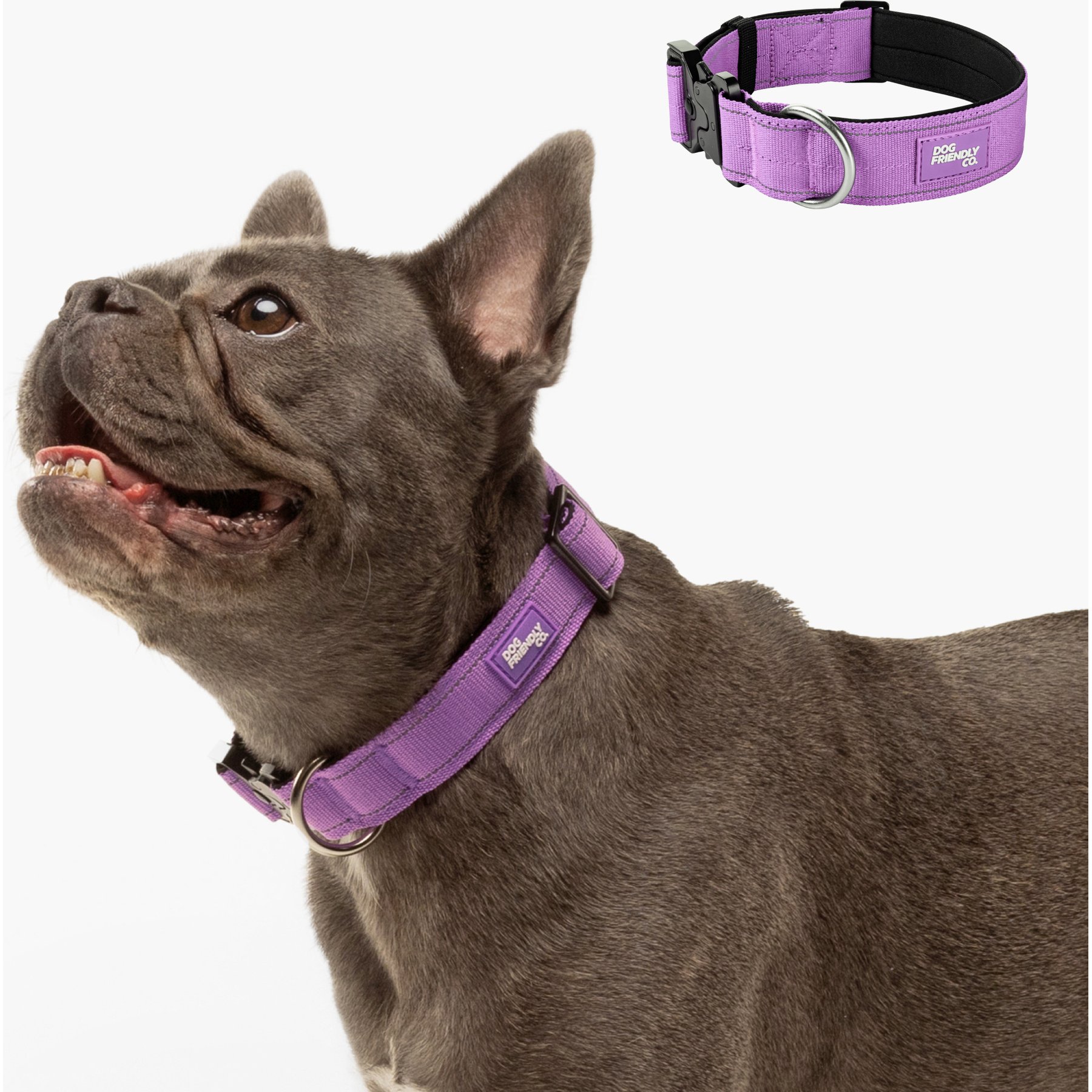 Dog Friendly Co. Comfortable & Secure with Quick Release Clip Buckle Reflective Tactical Dog Collar, Purple, Medium