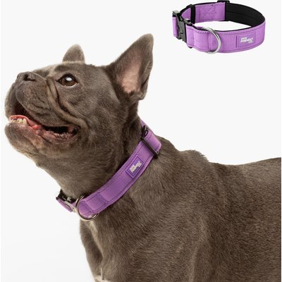 Dog Friendly Co. Dog Friendly Co. Comfortable & Secure with Quick Release Clip Buckle Reflective Tactical Dog Collar Black, Purple, Large/X-Large