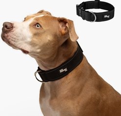 Dog Friendly Co. Comfortable & Secure with Quick Release Clip Buckle Reflective Tactical Dog Collar Black, Black, X-Small/XX-Small