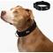 Show in main carousel: Dog Friendly Co. Comfortable & Secure with Quick Release Clip Buckle Reflective Tactical Dog Collar Black, Black, X-Small/XX-Small slide 1 of 8