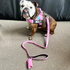 Dog Friendly Co. Neoprene Fabric Poop Bag Holder, Black