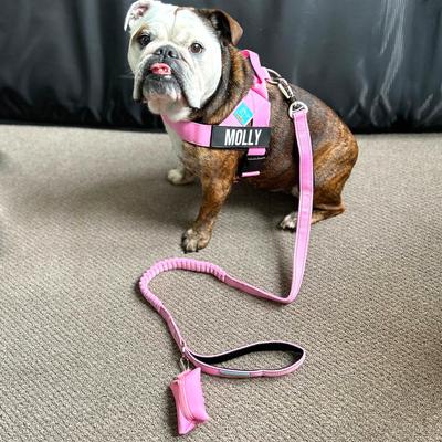 Show full view: Dog Friendly Co. Neoprene Fabric Poop Bag Holder, Red slide 6 of 6