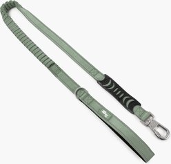 Dog Friendly Co. Premium Bungee Strain Free & Shock Resistant for Control Dog Leash, Premium Khaki, Regular