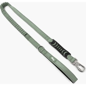 Dog Friendly Co. Premium Bungee Strain Free & Shock Resistant for Control Dog Leash, Premium Khaki, Regular