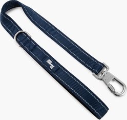 Dog Friendly Co. Premium Bungee Strain Free & Shock Resistant for Control Dog Leash, Premium Navy Blue, Regular