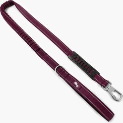 Dog Friendly Co. Premium Bungee Strain Free & Shock Resistant for Control Dog Leash, Premium Burgundy, Regular