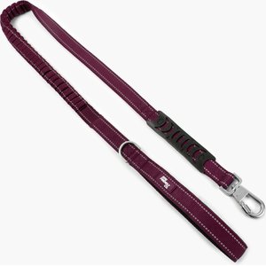 Dog Friendly Co. Premium Bungee Strain Free & Shock Resistant for Control Dog Leash, Premium Burgundy, Regular