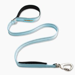 Dog Friendly Co. Classic Strain-Free Shock Resistant Dog Leash, Sky Blue, Small