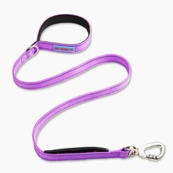 Dog Friendly Co. Classic Strain-Free Shock Resistant Dog Leash, Purple, Small